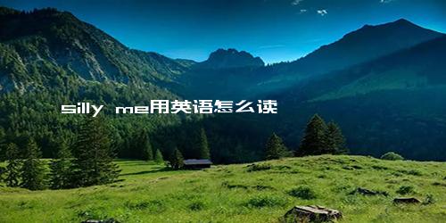 silly me用英语怎么读